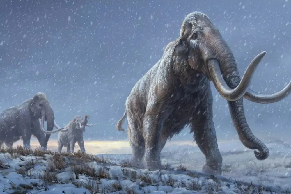 World’s Oldest DNA Extracted from Million Year Old Mammoth