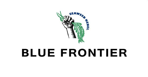 30 Ocean Conservation Organizations fighting to Save Marine Biodiversity