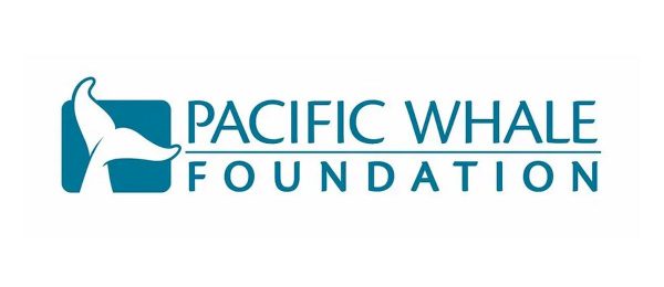 30 Ocean Conservation Organizations fighting to Save Marine Biodiversity