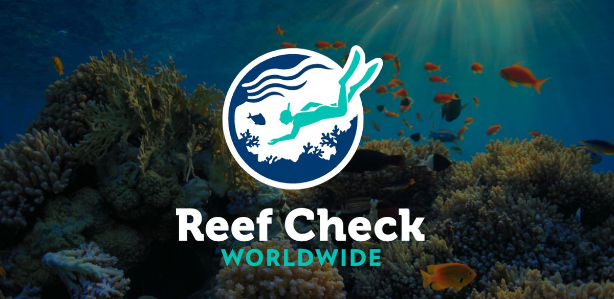 30 Ocean Conservation Organizations fighting to Save Marine Biodiversity   