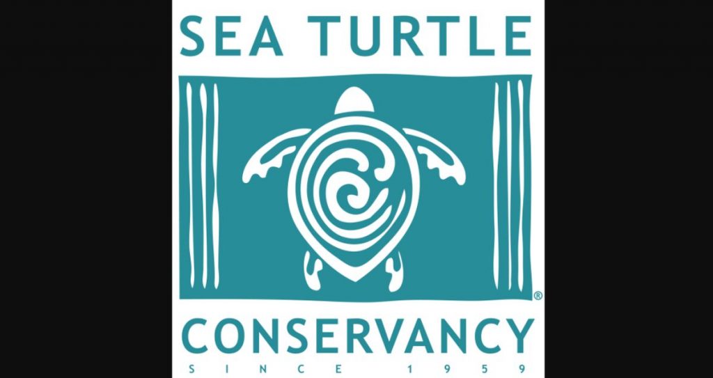 30 Ocean Conservation Organizations fighting to Save Marine Biodiversity