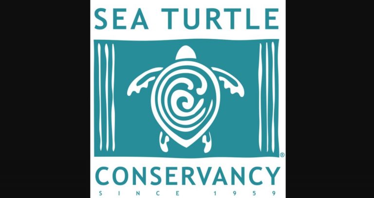 30 Ocean Conservation Organizations fighting to Save Marine Biodiversity