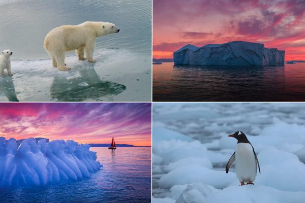 50 + Alarming Images Depicting Adverse Global Warming Effects on World's Ice Masses