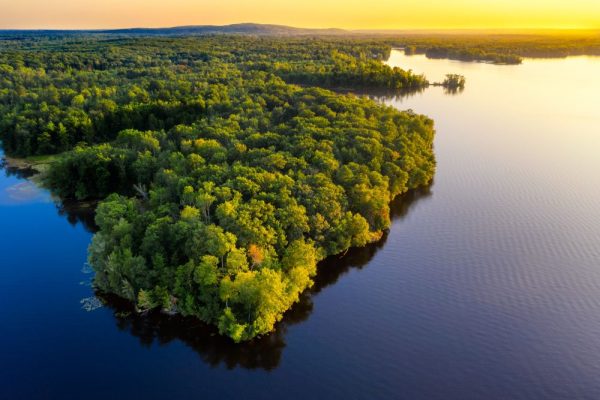 Amazon forest - ecological intact - eco system