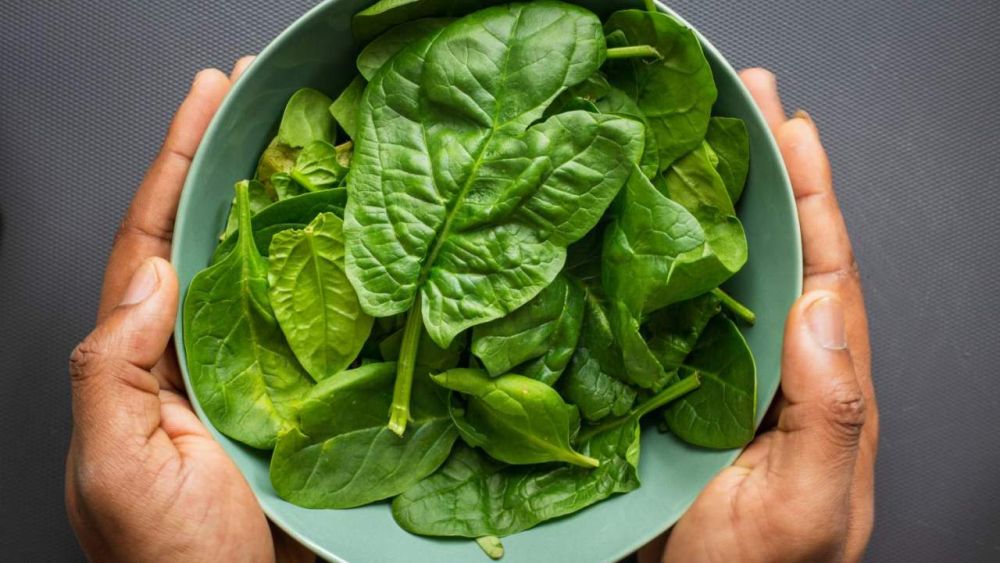 Decellularized Spinach serves as Scaffold and Edible Platform for Lab-Grown Meat