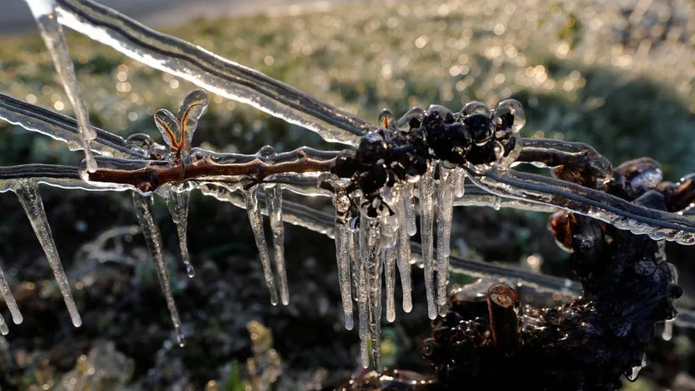 Cold Wave in Europe has Links With Melting Sea Ice in Arctic