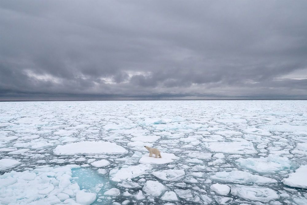 50 + Alarming Images of Melting Ice Masses amid Global Warming