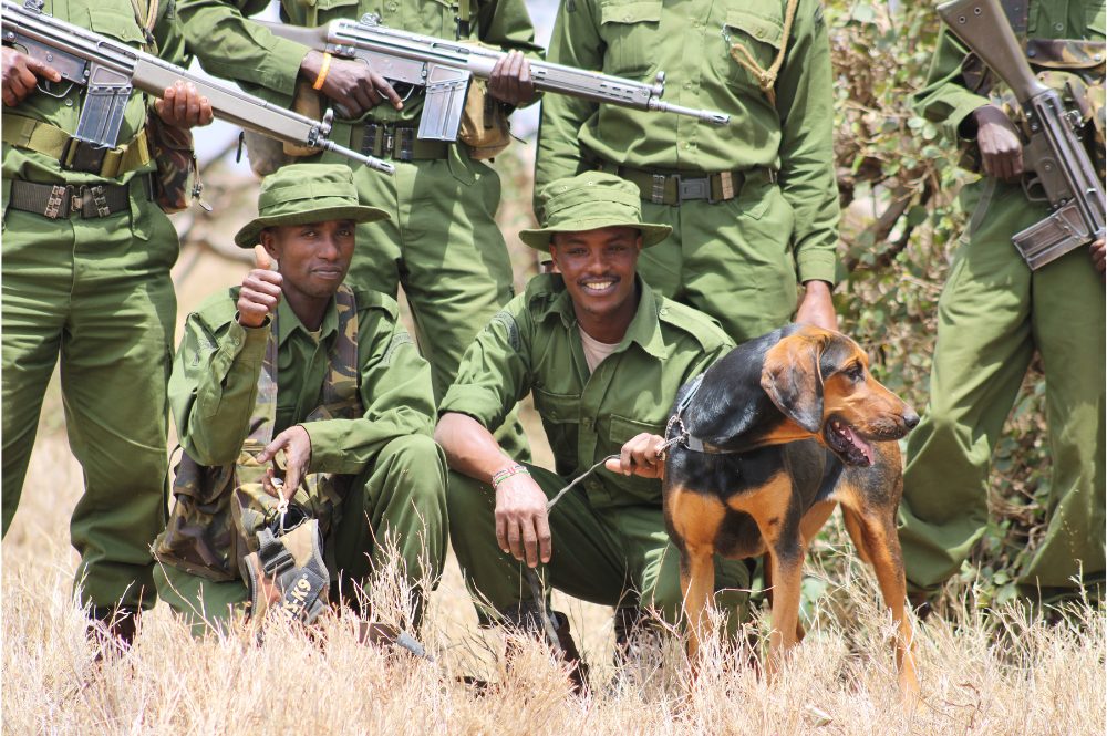 Lewa-Wildlife-Dog-Unit