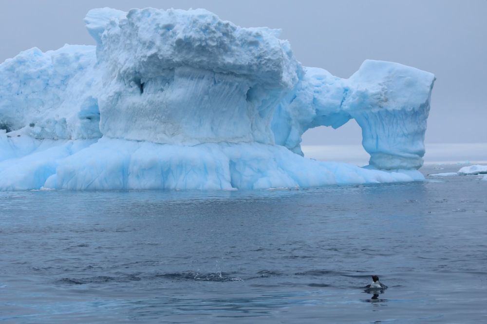 50 + Scary Images Depicting Effects of Global Warming on World's Ice Masses