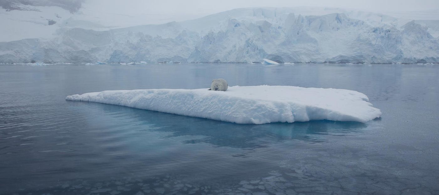 50 + Alarming Images of Melting Ice Masses amid Global Warming