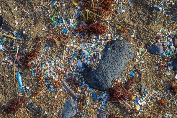 Microplastics are Spiraling Around The Globe, Reveals a Study