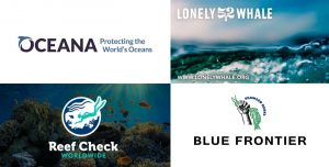 30 Ocean Conservation Organizations fighting to Save Marine Biodiversity