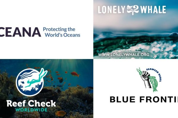 Ocean conservation organizations