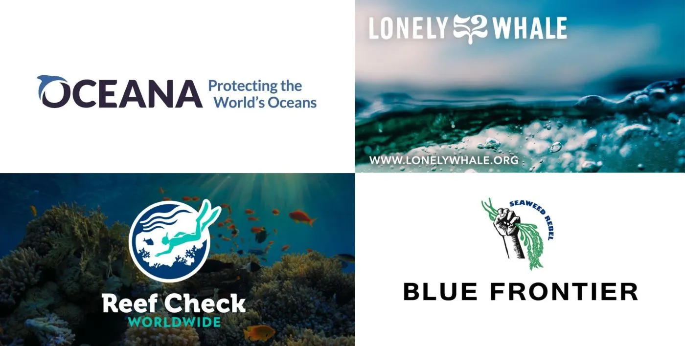 Ocean conservation organizations