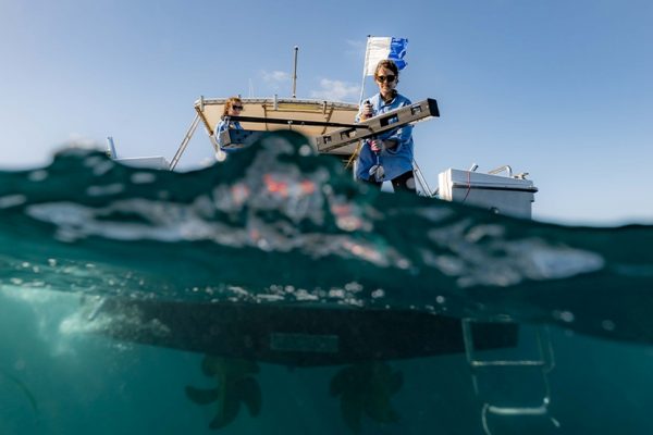 UK Launches World's Largest Ocean Monitoring System to Protect Marine Biodiversity