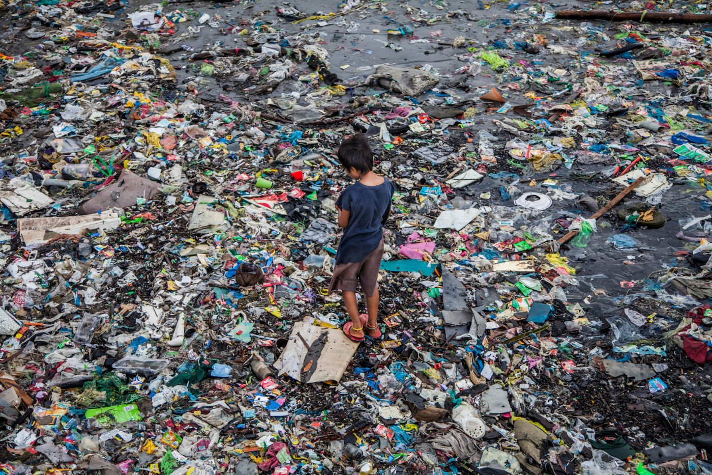 Plastic Pollution Stifles the Planet with Toxins, Harms All Life Form