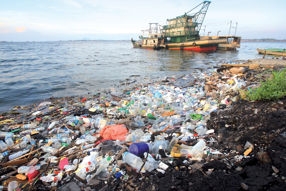 Plastic, Chemical Pollution Threatening Aquatic Species and Food Chain