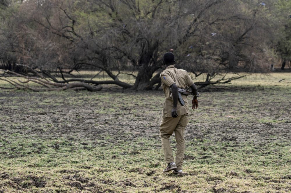 human encroachment in Dinder National Park