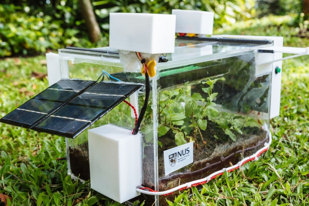 NUS SmartFarm Harvests Water from Air to Grow Plants Using Hydrogel