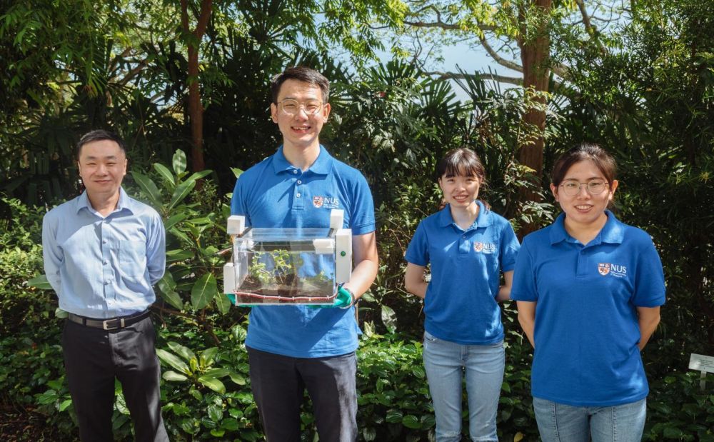 NUS SmartFarm Harvests Water from Air to Grow Plants Using Hydrogel