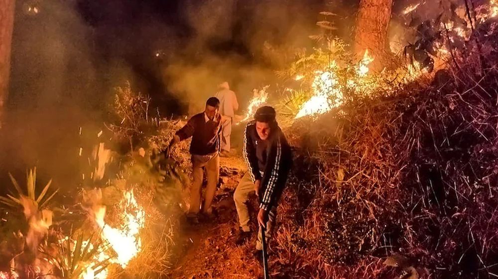 Uttarakhand Forest Fires