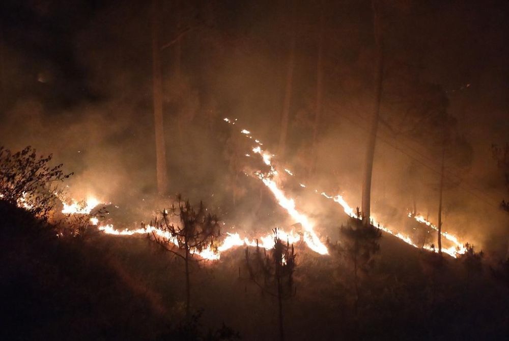 Uttarakhand forest fires