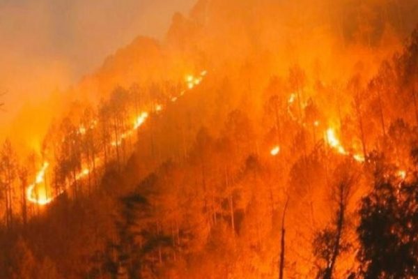 Uttarakhand forest fires