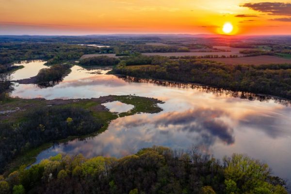 rare forests - ecological intact - eco system