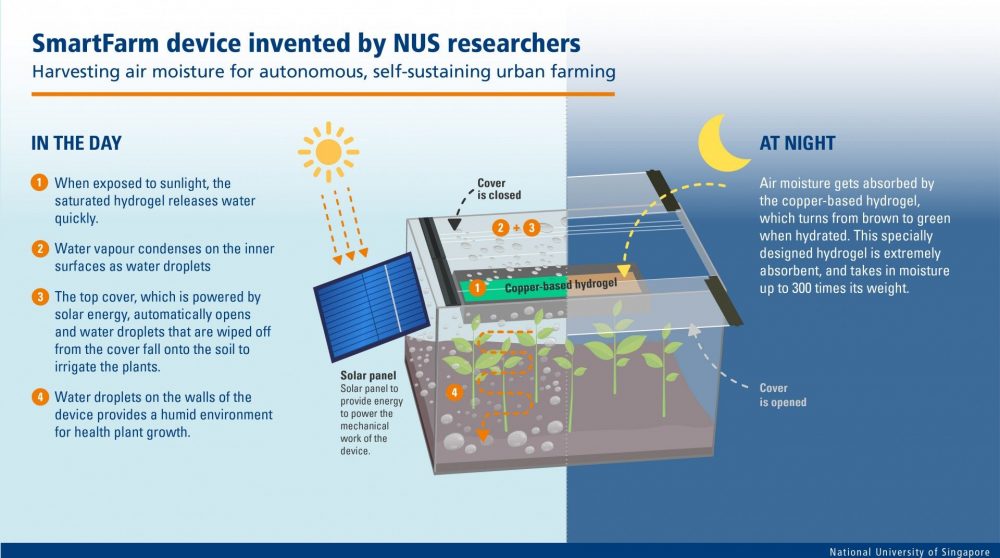 NUS SmartFarm Harvests Water from Air to Grow Plants Using Hydrogel