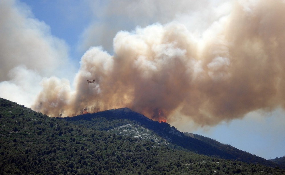 Last Decade was the Warmest on record, reveals WMO's report