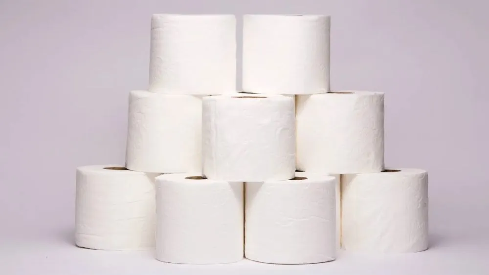 Toilet Paper and Deforestation: Are We Flushing Our Forests down the Toilet?