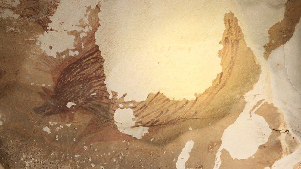 World’s Oldest Cave Art is vanishing amid Climate Change