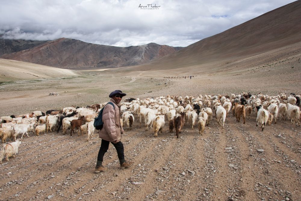 Beauty of India’s Ladakh Region in Pictures