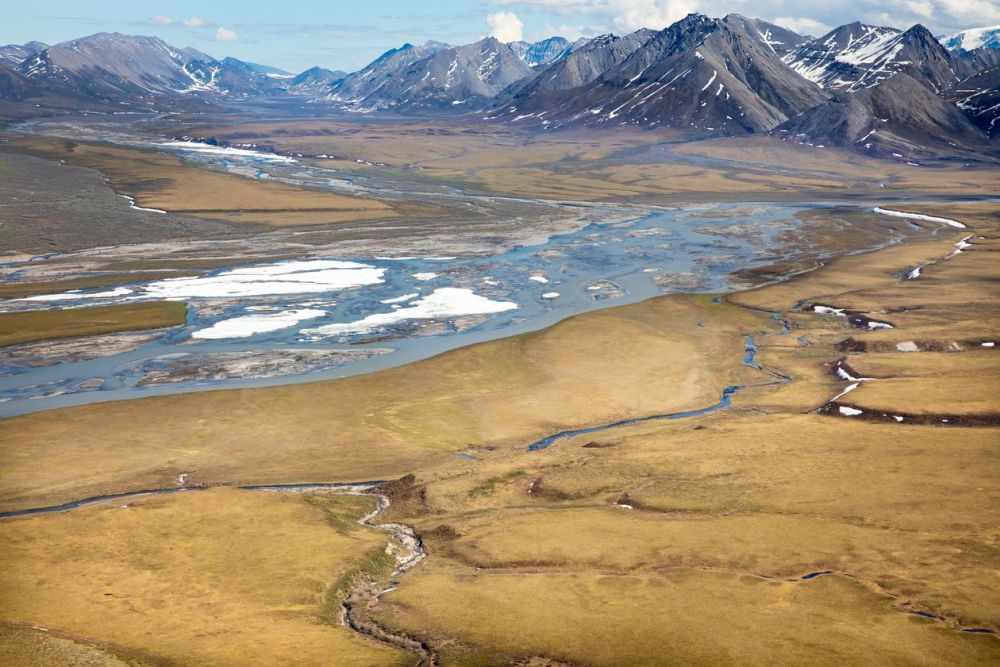 Biden Suspends Oil and Gas Leases in Arctic National Wildlife Refuge