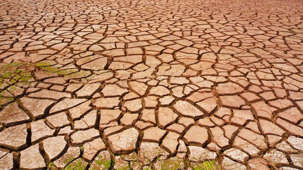 Drought could be the Next Pandemic, Warns a UN Report