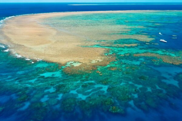 UNESCO to Downgrade Great Barrier Reef’s World Heritage Site Status to “In Danger”