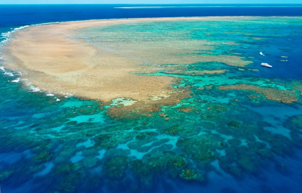 UNESCO to Downgrade Great Barrier Reef’s World Heritage Site Status to “In Danger”