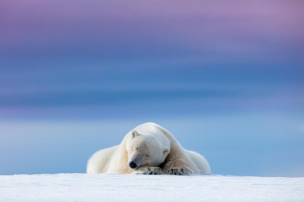 Winning Images from Nature TTL Photographer of the Year 2021