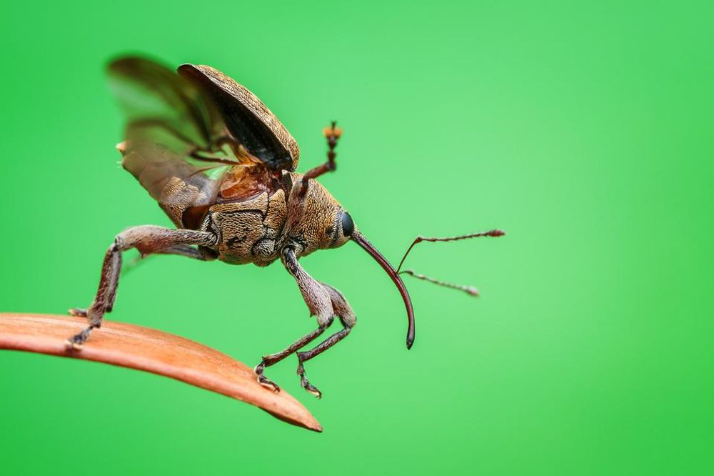 Winning Images from Nature TTL Photographer of the Year 2021