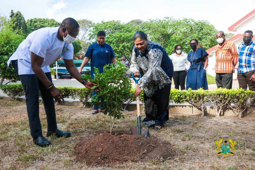 People in Ghana Plant 5 Million Trees To Fight Deforestation