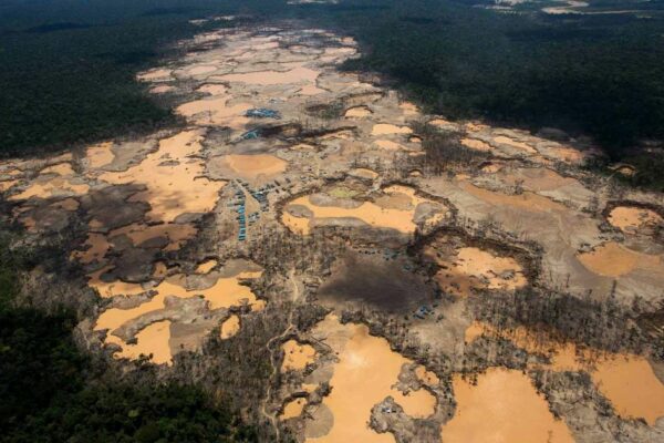 Brazil Prosecutors Seek Ban on Gold Mining in Vulnerable Amazon Rainforest