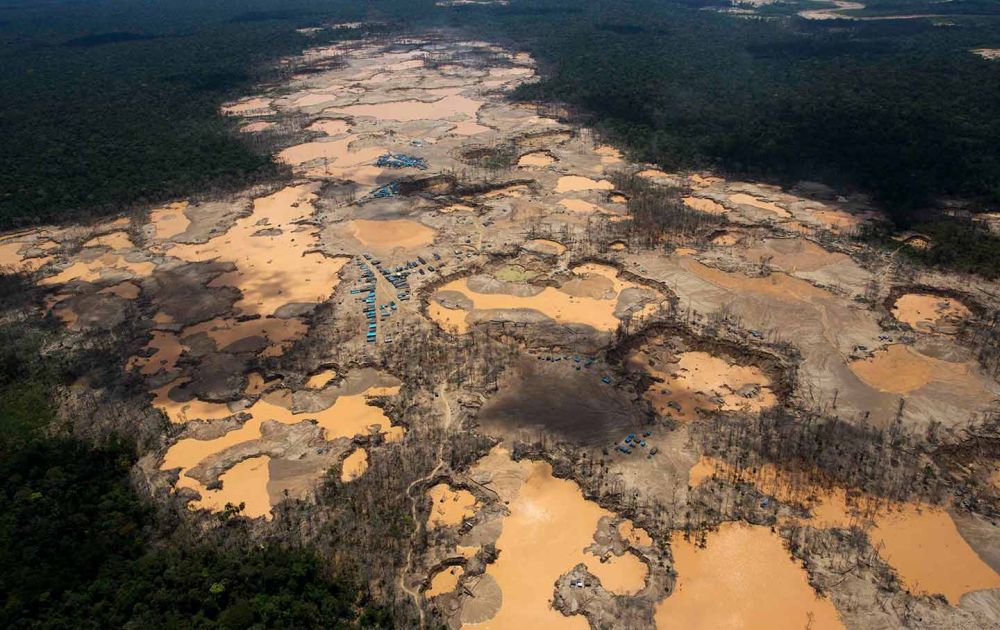 Brazil Prosecutors Seek Ban on Gold Mining in Vulnerable Amazon Rainforest