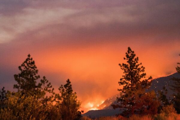 Climate Change Causes Heatwaves and Wildfires in Northern Hemisphere