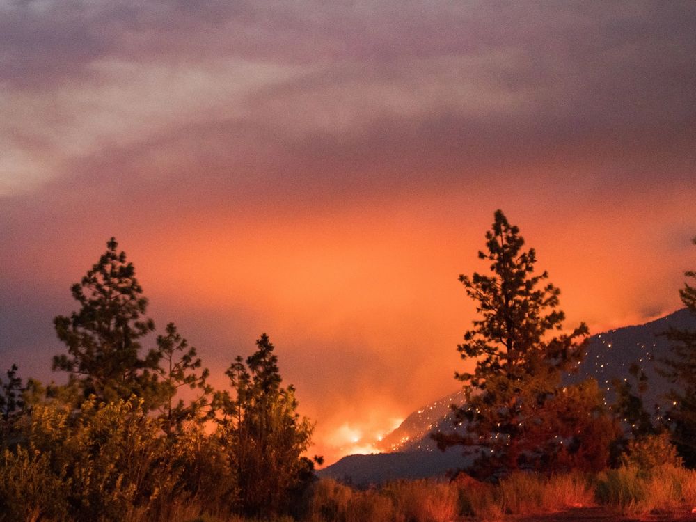 Climate Change Causes Heatwaves and Wildfires in Northern Hemisphere 