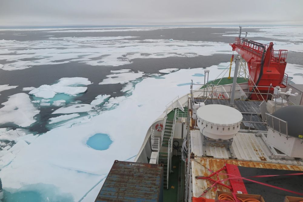 “Last Ice Area” of Arctic is Severely Threatened by Climate Change