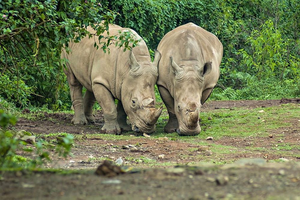 These 30 Natural Wonders could vanish by 2100 due to Climate Change