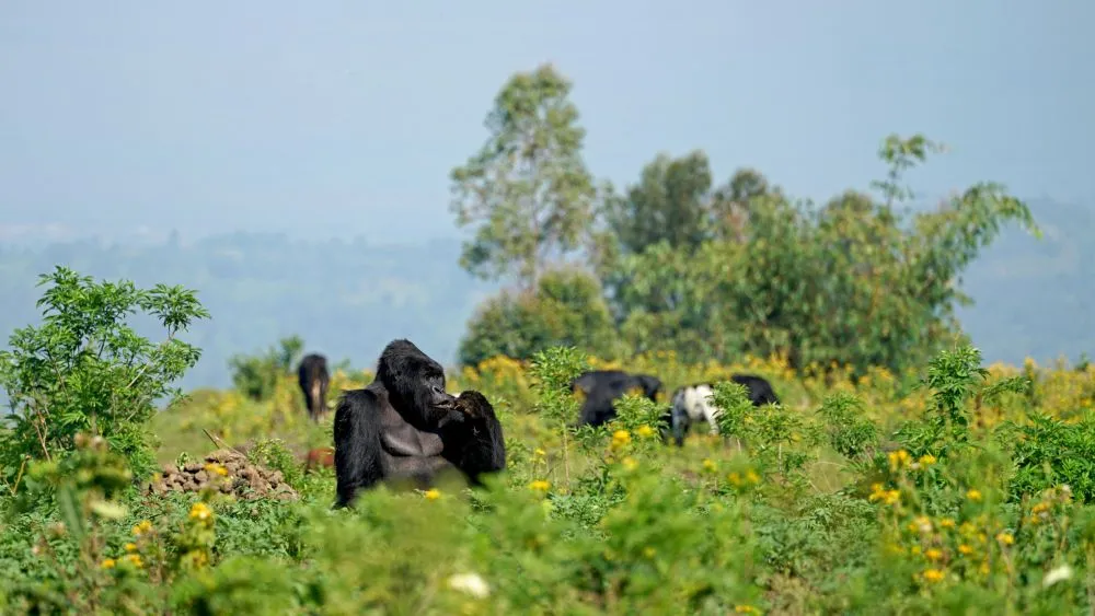 These 30 Natural Wonders could vanish by 2100 due to Climate Change