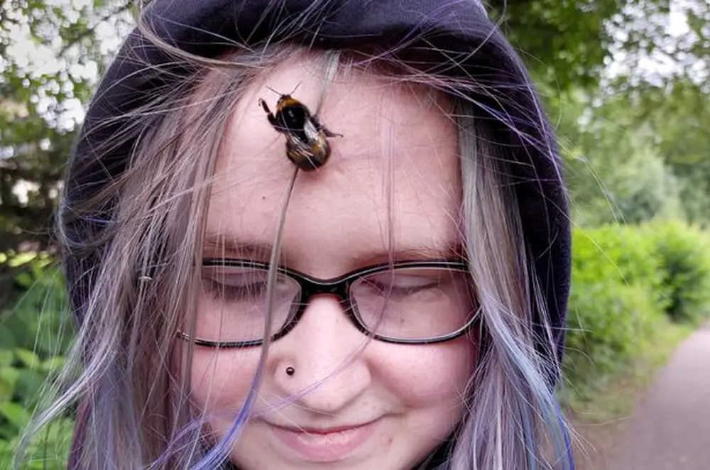 A Bumble Bee Became a teenager’s Companion, After She Rescued It