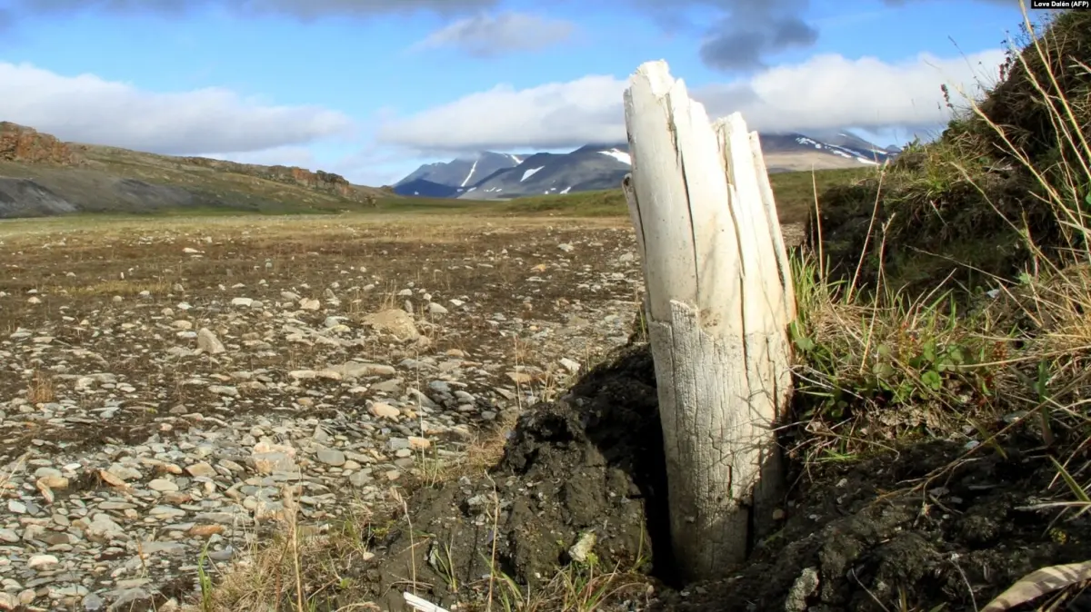 Melting Siberian Permafrost Uncovers Prehistoric Fossils and Methane