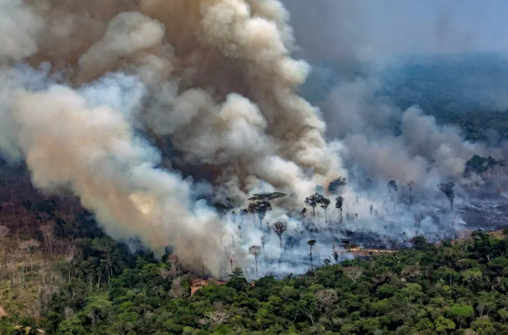 Over 260 Fires Ravage Amazon Rainforest in 2021 amid Climate Crisis